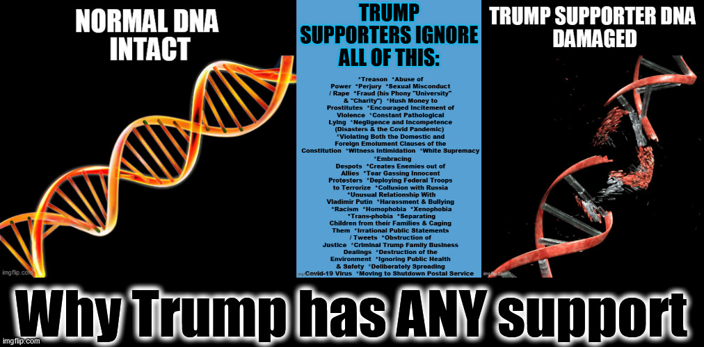 There's something COMPLETELY amiss with ANYONE who supports the TRAITOR, Donald Dipshit Trump! Remember in November. Dump Trump! | Why Trump has ANY support | image tagged in trump supporters,dna,dangerous,psychopath,thats a lot of damage,2020 elections | made w/ Imgflip meme maker