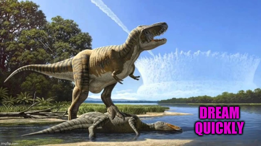 DREAM QUICKLY | made w/ Imgflip meme maker