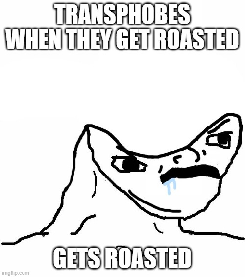 Angry Brainlet  | TRANSPHOBES WHEN THEY GET ROASTED GETS ROASTED | image tagged in angry brainlet | made w/ Imgflip meme maker