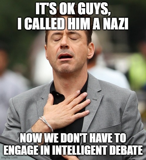 relieved rdj | IT'S OK GUYS, I CALLED HIM A NAZI; NOW WE DON'T HAVE TO ENGAGE IN INTELLIGENT DEBATE | image tagged in relieved rdj | made w/ Imgflip meme maker