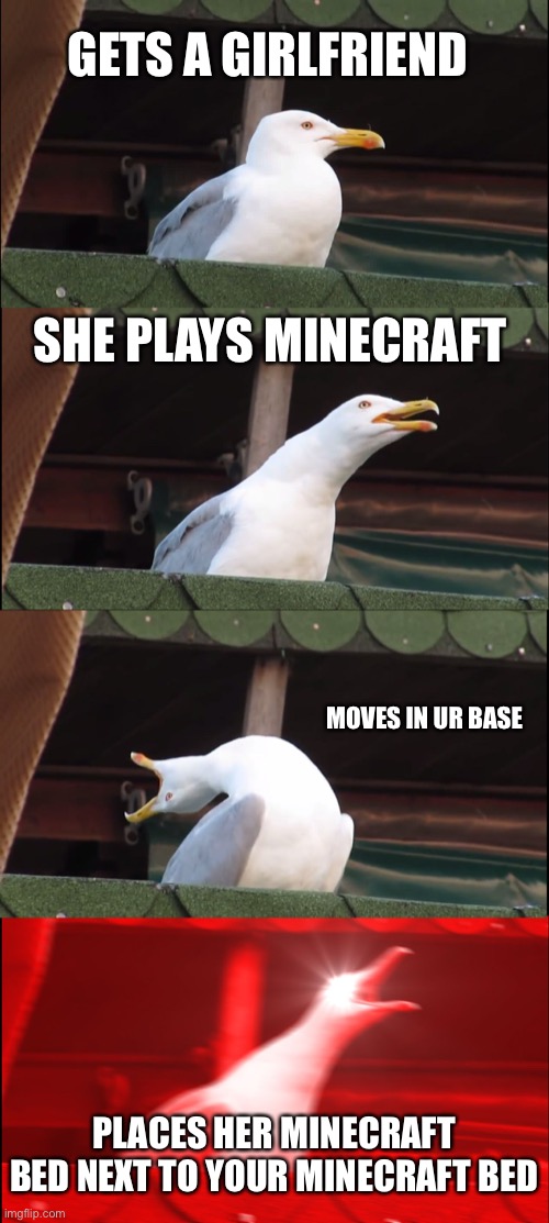 Inhaling Seagull | GETS A GIRLFRIEND; SHE PLAYS MINECRAFT; MOVES IN UR BASE; PLACES HER MINECRAFT BED NEXT TO YOUR MINECRAFT BED | image tagged in memes,inhaling seagull | made w/ Imgflip meme maker