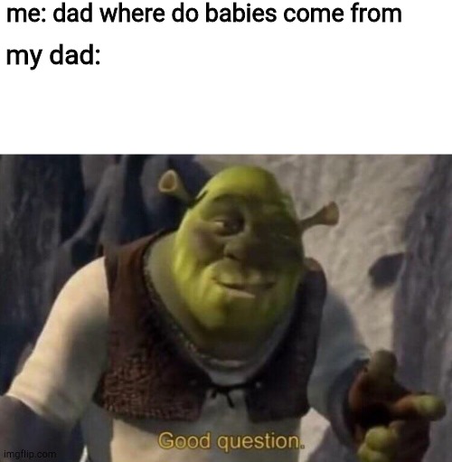 my dad when i ask him where babies come from | me: dad where do babies come from; my dad: | image tagged in shrek good question | made w/ Imgflip meme maker
