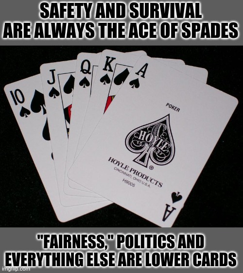 Quit bitching | SAFETY AND SURVIVAL ARE ALWAYS THE ACE OF SPADES; "FAIRNESS," POLITICS AND EVERYTHING ELSE ARE LOWER CARDS | image tagged in royal flush,priorities | made w/ Imgflip meme maker