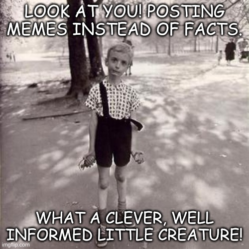 when you're just to lazy to think | LOOK AT YOU! POSTING MEMES INSTEAD OF FACTS. WHAT A CLEVER, WELL INFORMED LITTLE CREATURE! | image tagged in stupidity | made w/ Imgflip meme maker