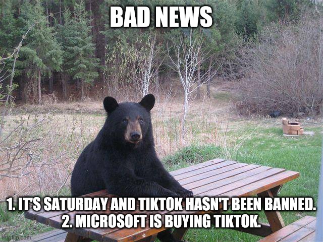 Bear at Picnic Table | BAD NEWS; 1. IT'S SATURDAY AND TIKTOK HASN'T BEEN BANNED.
2. MICROSOFT IS BUYING TIKTOK. | image tagged in bear at picnic table | made w/ Imgflip meme maker