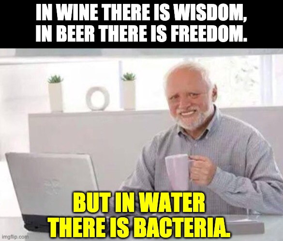 Harold | IN WINE THERE IS WISDOM, IN BEER THERE IS FREEDOM. BUT IN WATER THERE IS BACTERIA. | image tagged in harold | made w/ Imgflip meme maker