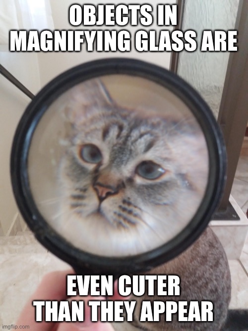 OBJECTS IN MAGNIFYING GLASS ARE; EVEN CUTER THAN THEY APPEAR | made w/ Imgflip meme maker