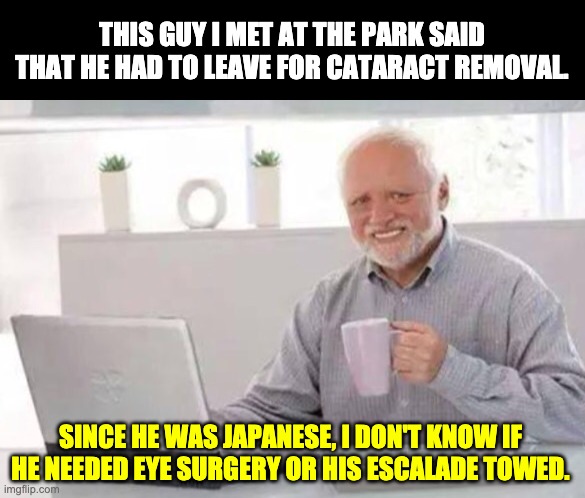 Harold | THIS GUY I MET AT THE PARK SAID THAT HE HAD TO LEAVE FOR CATARACT REMOVAL. SINCE HE WAS JAPANESE, I DON'T KNOW IF HE NEEDED EYE SURGERY OR HIS ESCALADE TOWED. | image tagged in harold | made w/ Imgflip meme maker