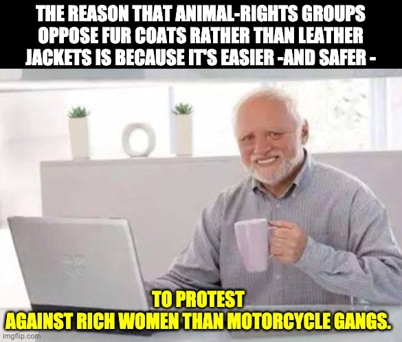 Harold | THE REASON THAT ANIMAL-RIGHTS GROUPS OPPOSE FUR COATS RATHER THAN LEATHER JACKETS IS BECAUSE IT'S EASIER -AND SAFER -; TO PROTEST AGAINST RICH WOMEN THAN MOTORCYCLE GANGS. | image tagged in harold | made w/ Imgflip meme maker