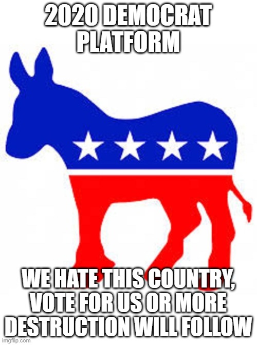 Democrat donkey | 2020 DEMOCRAT PLATFORM; WE HATE THIS COUNTRY, VOTE FOR US OR MORE DESTRUCTION WILL FOLLOW | image tagged in democrat donkey | made w/ Imgflip meme maker