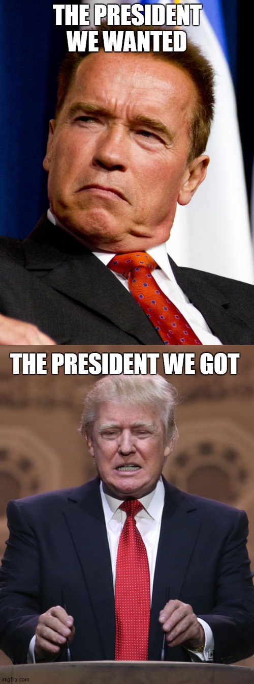 THE PRESIDENT WE WANTED; THE PRESIDENT WE GOT | image tagged in arnold schwarzenegger,donald trump | made w/ Imgflip meme maker