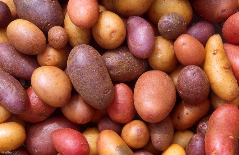 Delicious Potatoes! | image tagged in delicious potatoes | made w/ Imgflip meme maker