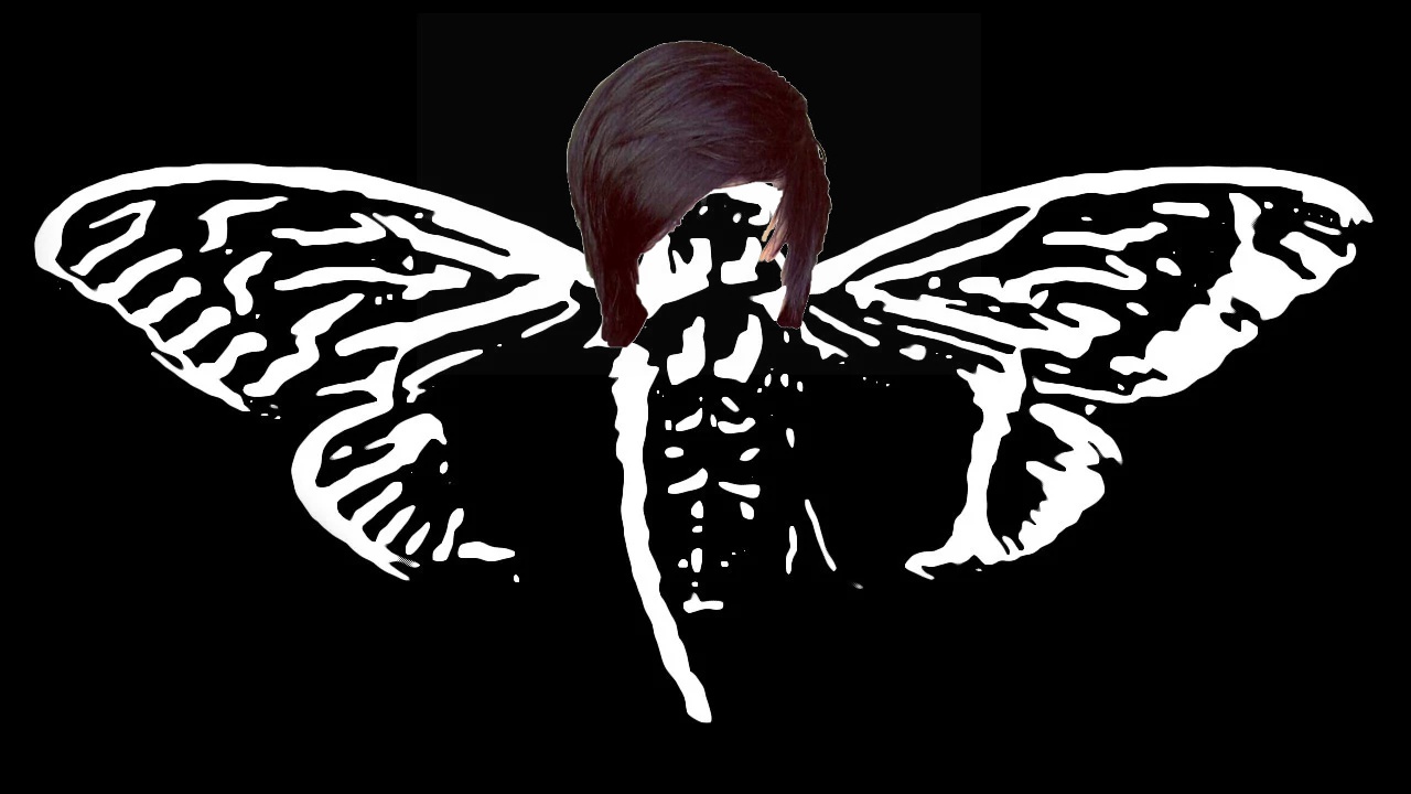 not a phase, cicada Blank Meme Template