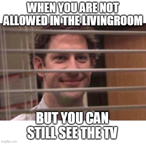 Jim Office Blinds | WHEN YOU ARE NOT ALLOWED IN THE LIVINGROOM; BUT YOU CAN STILL SEE THE TV | image tagged in jim office blinds | made w/ Imgflip meme maker