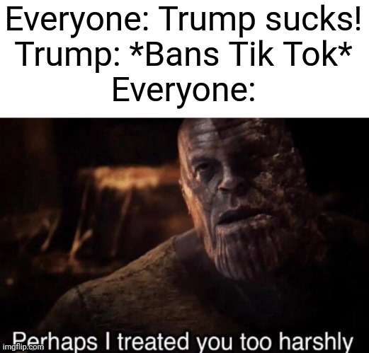 Please don't start a political argument, its only a meme. | Everyone: Trump sucks!
Trump: *Bans Tik Tok*
Everyone: | image tagged in perhaps i treated you too harshly | made w/ Imgflip meme maker