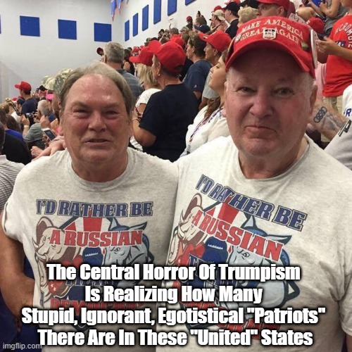  The Central Horror Of Trumpism 
Is Realizing How Many 
Stupid, Ignorant, Egotistical "Patriots" 
There Are In These "United" States | made w/ Imgflip meme maker
