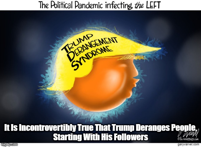 "Trump Derangement Syndrome" | It Is Incontrovertibly True That Trump Deranges People,
Starting With His Followers | image tagged in trump derangement syndrome,virus,viral | made w/ Imgflip meme maker