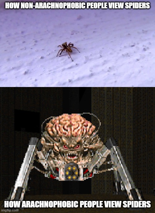 arachnophobia in a nutshell |  HOW NON-ARACHNOPHOBIC PEOPLE VIEW SPIDERS; HOW ARACHNOPHOBIC PEOPLE VIEW SPIDERS | image tagged in arachnophobia,spider,doom,memes | made w/ Imgflip meme maker