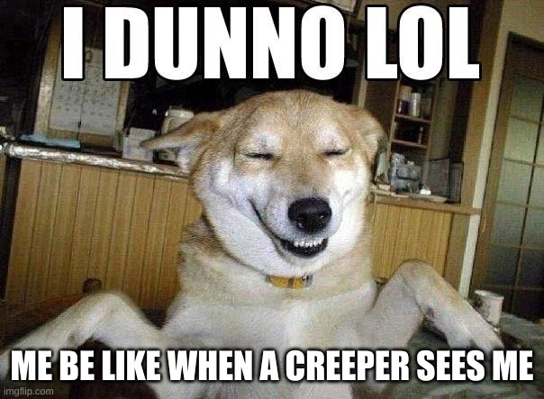 I DUNNO LOL | ME BE LIKE WHEN A CREEPER SEES ME | image tagged in i dunno lol | made w/ Imgflip meme maker
