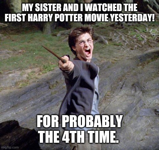 Harry potter | MY SISTER AND I WATCHED THE FIRST HARRY POTTER MOVIE YESTERDAY! FOR PROBABLY THE 4TH TIME. | image tagged in harry potter | made w/ Imgflip meme maker