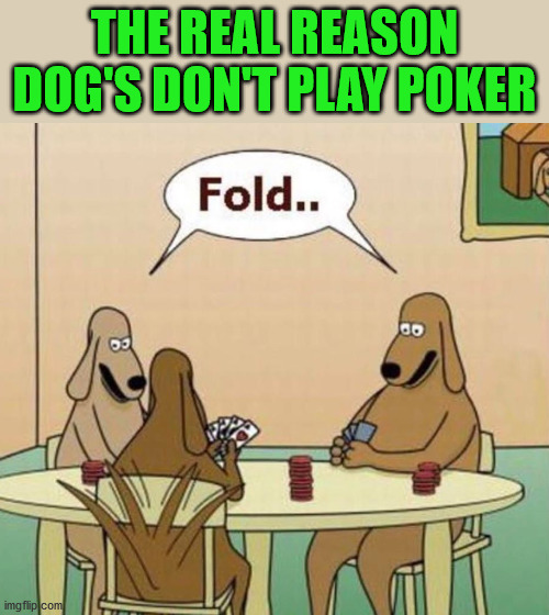 THE REAL REASON DOG'S DON'T PLAY POKER | made w/ Imgflip meme maker