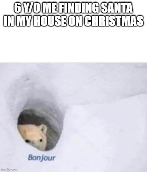 Bonjour | 6 Y/O ME FINDING SANTA IN MY HOUSE ON CHRISTMAS | image tagged in bonjour | made w/ Imgflip meme maker