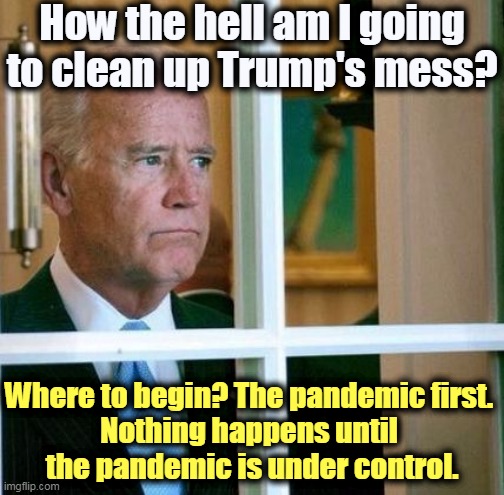 This is the biggest outbreak of disease in 100 years and Trump thought only of himself. Effing psychopath. | How the hell am I going to clean up Trump's mess? Where to begin? The pandemic first. 
Nothing happens until 
the pandemic is under control. | image tagged in sad joe biden,pandemic,dead,americans,trump,incompetence | made w/ Imgflip meme maker