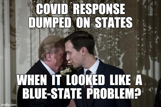 COVID Response | COVID  RESPONSE
DUMPED  ON  STATES; WHEN  IT  LOOKED  LIKE  A 
 BLUE-STATE  PROBLEM? | image tagged in covid-19,kushner,trump,states,response,memes | made w/ Imgflip meme maker