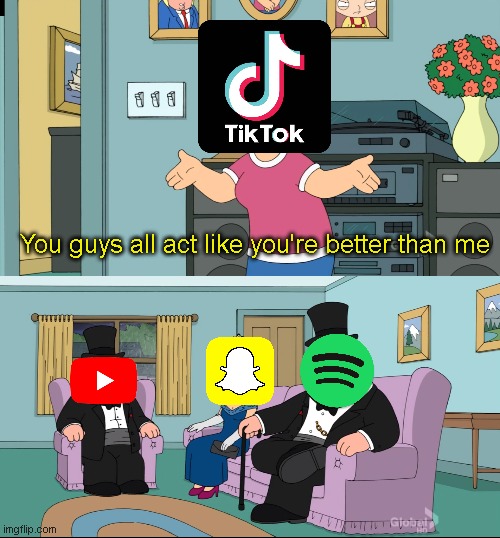 Tik tok sucks | You guys all act like you're better than me | image tagged in meg family guy better than me,tik tok,snapchat,youtube,spotify | made w/ Imgflip meme maker