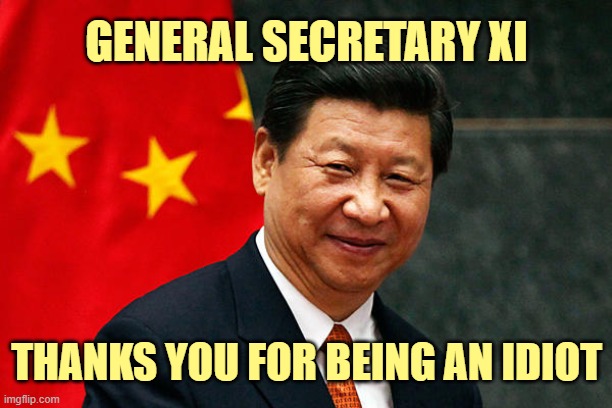 Xi Jinping | GENERAL SECRETARY XI THANKS YOU FOR BEING AN IDIOT | image tagged in xi jinping | made w/ Imgflip meme maker