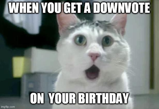 downvoted | WHEN YOU GET A DOWNVOTE; ON  YOUR BIRTHDAY | image tagged in memes,omg cat | made w/ Imgflip meme maker