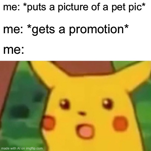 Surprised Pikachu | me: *puts a picture of a pet pic*; me: *gets a promotion*; me: | image tagged in memes,surprised pikachu | made w/ Imgflip meme maker