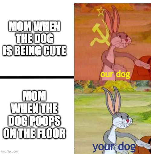 comunist dog |  MOM WHEN THE DOG IS BEING CUTE; our dog; MOM WHEN THE DOG POOPS ON THE FLOOR; your dog | image tagged in bugs bunny,funny memes,funny,memes | made w/ Imgflip meme maker