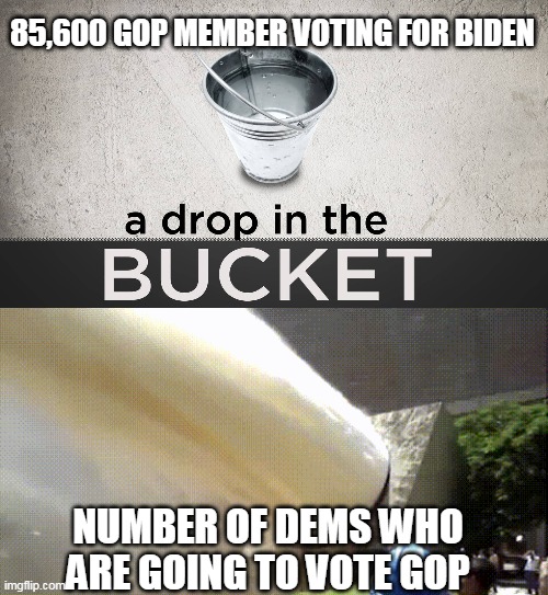 85,600 GOP MEMBER VOTING FOR BIDEN NUMBER OF DEMS WHO ARE GOING TO VOTE GOP | made w/ Imgflip meme maker