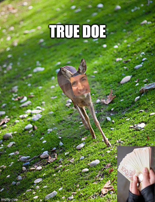 The lure is super effective! | TRUE DOE | image tagged in cute doe,trudeau,memes | made w/ Imgflip meme maker