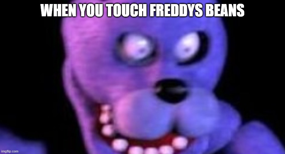 Scared Bonnie | WHEN YOU TOUCH FREDDYS BEANS | image tagged in scared bonnie | made w/ Imgflip meme maker