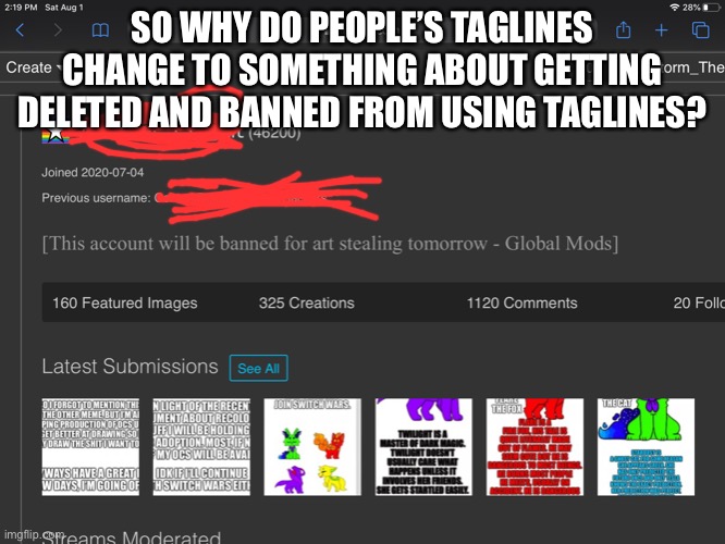 I need an explanation | SO WHY DO PEOPLE’S TAGLINES CHANGE TO SOMETHING ABOUT GETTING DELETED AND BANNED FROM USING TAGLINES? | made w/ Imgflip meme maker