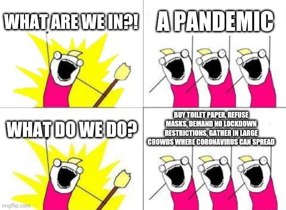 What people do during a pandemic | WHAT ARE WE IN?! A PANDEMIC; BUY TOILET PAPER, REFUSE MASKS, DEMAND NO LOCKDOWN RESTRICTIONS, GATHER IN LARGE CROWDS WHERE CORONAVIRUS CAN SPREAD; WHAT DO WE DO? | image tagged in memes,what do we want,pandemic,coronavirus,crazy people | made w/ Imgflip meme maker