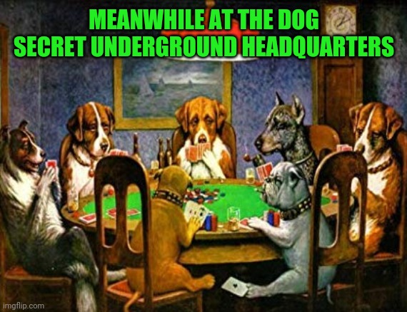 Dogs playing poker | MEANWHILE AT THE DOG SECRET UNDERGROUND HEADQUARTERS | image tagged in dogs playing poker | made w/ Imgflip meme maker