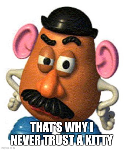 Mr Potato Head | THAT’S WHY I NEVER TRUST A KITTY | image tagged in mr potato head | made w/ Imgflip meme maker