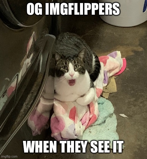 OG IMGFLIPPERS WHEN THEY SEE IT | made w/ Imgflip meme maker