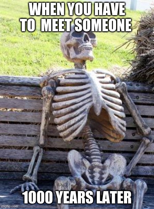 Waiting Skeleton Meme | WHEN YOU HAVE TO  MEET SOMEONE; 1000 YEARS LATER | image tagged in memes,waiting skeleton | made w/ Imgflip meme maker