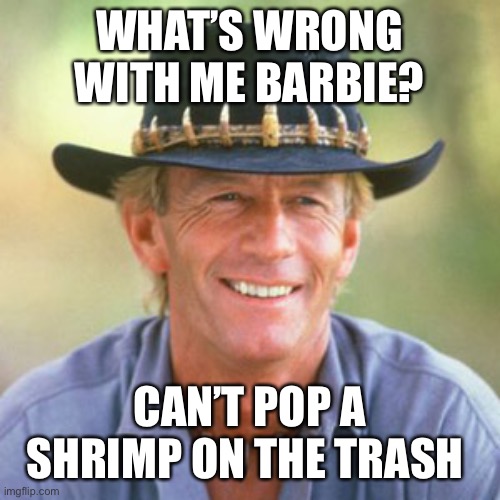 australianguy | WHAT’S WRONG WITH ME BARBIE? CAN’T POP A SHRIMP ON THE TRASH | image tagged in australianguy | made w/ Imgflip meme maker