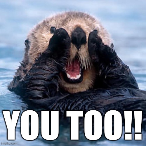 Shouting Otter | YOU TOO!! | image tagged in shouting otter | made w/ Imgflip meme maker