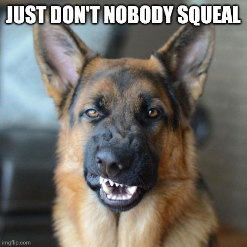 Mean DOG  | JUST DON'T NOBODY SQUEAL | image tagged in mean dog | made w/ Imgflip meme maker