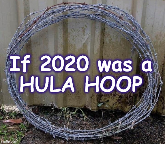 hulahoop | If 2020 was a
HULA HOOP | image tagged in hulahoop | made w/ Imgflip meme maker