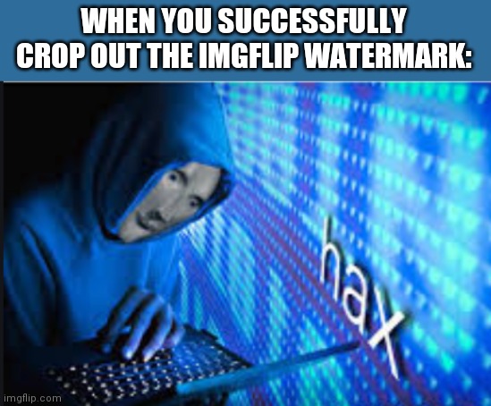 Hax | WHEN YOU SUCCESSFULLY CROP OUT THE IMGFLIP WATERMARK: | image tagged in hax | made w/ Imgflip meme maker