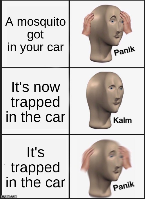 When a mosquito gets in your car | A mosquito got in your car; It's now trapped in the car; It's trapped in the car | image tagged in memes,panik kalm panik | made w/ Imgflip meme maker