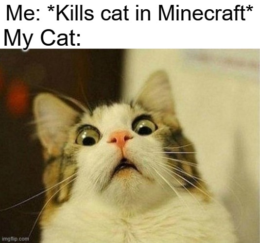 Scared Cat Meme | Me: *Kills cat in Minecraft*; My Cat: | image tagged in memes,scared cat | made w/ Imgflip meme maker
