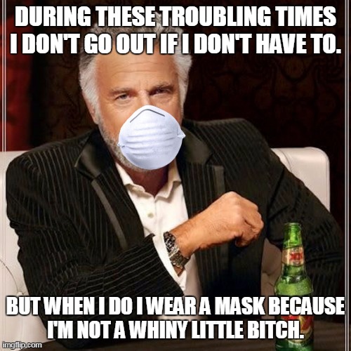 I dont always wear a mask | DURING THESE TROUBLING TIMES I DON'T GO OUT IF I DON'T HAVE TO. BUT WHEN I DO I WEAR A MASK BECAUSE
I'M NOT A WHINY LITTLE BITCH. | image tagged in i dont always wear a mask | made w/ Imgflip meme maker